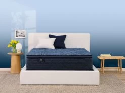 Perfect Sleeper Cobalt Calm Firm PT Twin Mattress -Home Furniture 500100273 T main 3