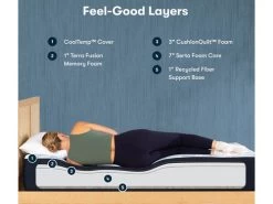 IComfort Eco F10 Medium Twin XL Mattress -Home Furniture 500804078 TXL main 3