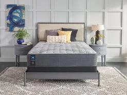 Testimony II Soft Queen Mattress -Home Furniture 52693551 main 4