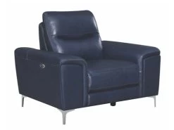 Alejah Blue Leather Power Recliner