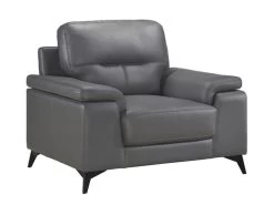 Seth Dark Gray Leather Match Chair