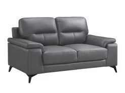 Seth Dark Gray Leather Match Loveseat