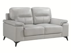 Seth Silver Gray Leather Match Loveseat