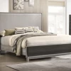 Watson Queen Bed 1 Watson Queen Bed -Home Furniture C8451A Q BED main 1