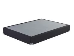 Coal Queen Foundation Regular Profile