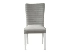 Teodoro Dining Chair -Home Furniture D1903DC GRY main 2