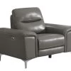 Alejah Gray Leather Power Recliner