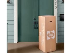 Sealy Essentials Firm Twin Mattress -Home Furniture F03 00153 TW0 main 4