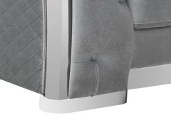 Carlotta Silver Velvet 2 Pcs Set 11 Carlotta Silver Velvet 2 Pcs Set -Home Furniture U341 2PCS main 5